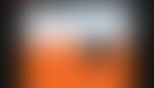 Standards
			       ux ui design