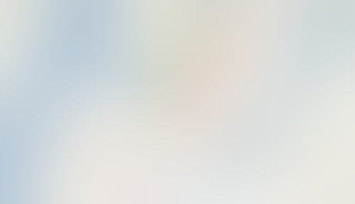 Felt
			      ux ui design