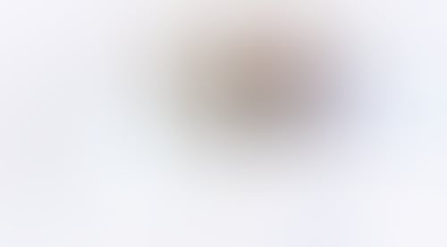 Rise
			      ux ui design