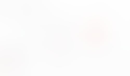 Macaw
			         ux ui design