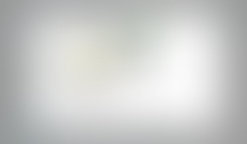 Instant
			          ux ui design