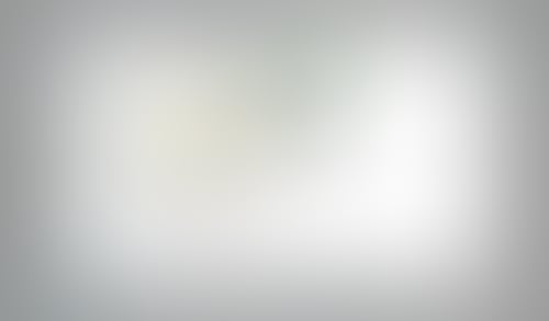 Instant
			            ux ui design