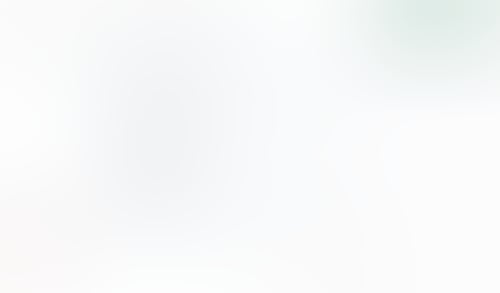 Macaw
			           ux ui design