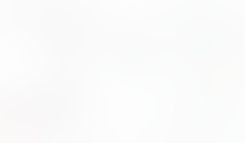 Macaw
			                ux ui design