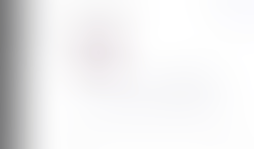 Lingo
			        ux ui design