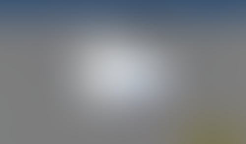 Otter
			                 ux ui design