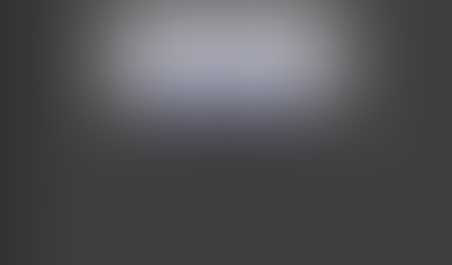 Lingo
			      ux ui design