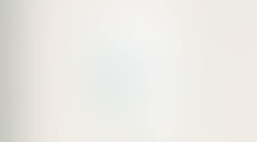 Expensify
			          ux ui design