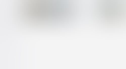 Raster
			       ux ui design