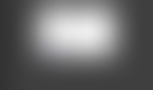 Lingo
			     ux ui design