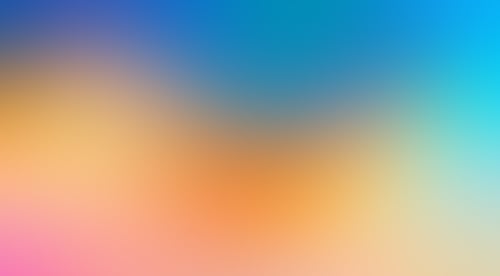 Raster
			    ux ui design