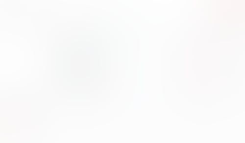 Macaw
			           ux ui design