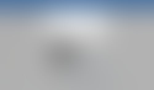 Otter
			             ux ui design