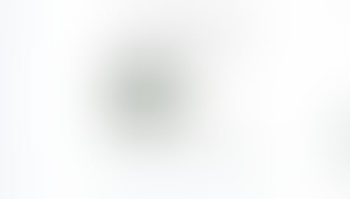 Gemini
			         ux ui design