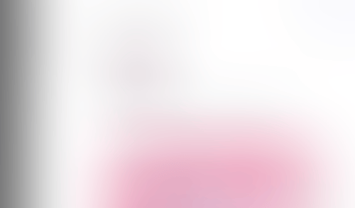 Lingo
			       ux ui design