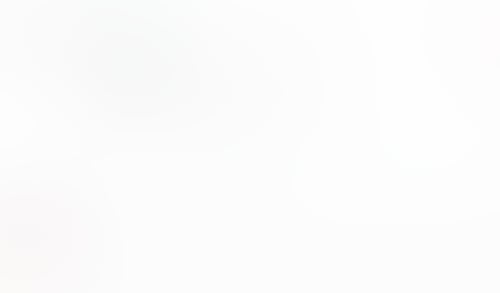 Macaw
			           ux ui design