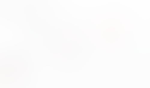 Macaw
			         ux ui design