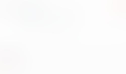 Macaw
			         ux ui design