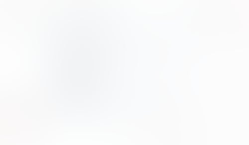 Macaw
			           ux ui design