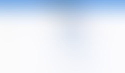 Otter
			     ux ui design