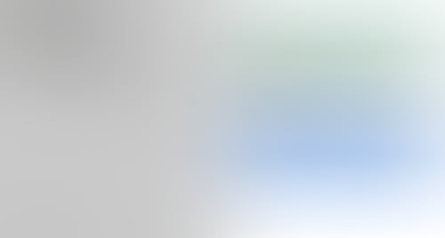 Rekki
			     ux ui design