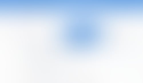 Otter
			             ux ui design