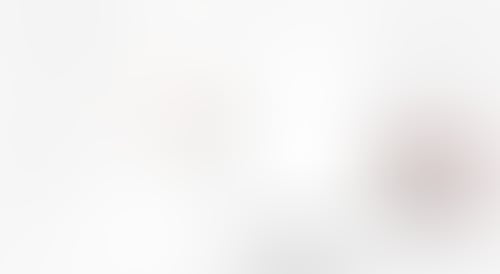 Scribe
			          ux ui design