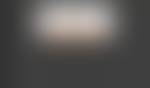 Lingo
			     ux ui design