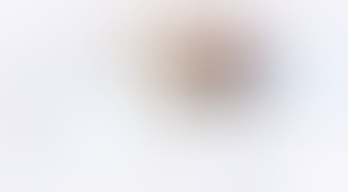 Rise
			         ux ui design