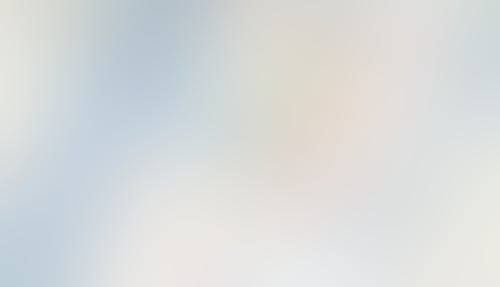 Felt
			       ux ui design