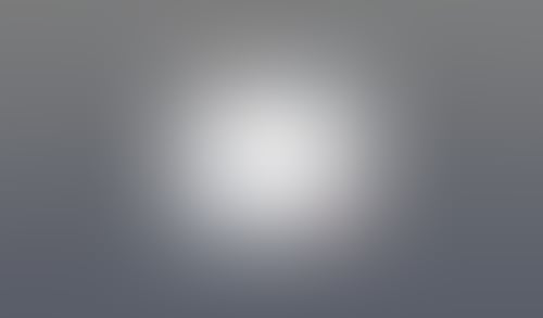 Macaw
			           ux ui design