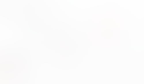 Macaw
			         ux ui design