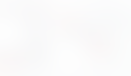 Macaw
			               ux ui design