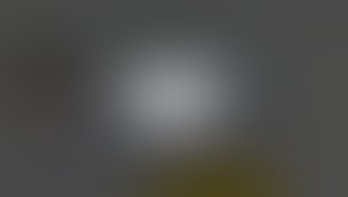 QuestionScout
			   ux ui design