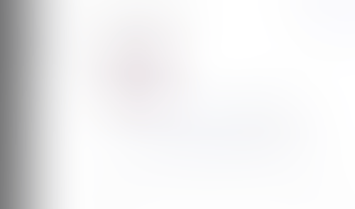 Lingo
			       ux ui design