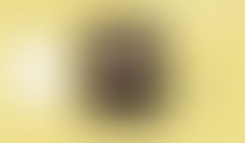 WeTransfer
			      ux ui design