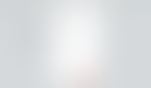 Secfi
			            ux ui design