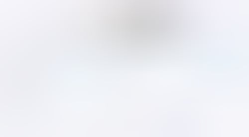 Rise
			    ux ui design