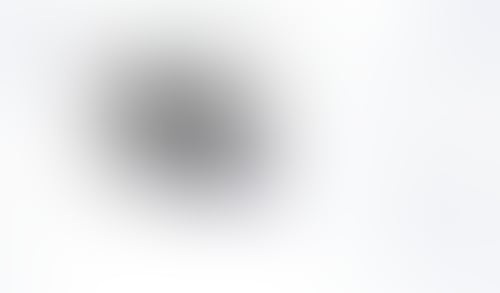 Mangomint
			     ux ui design