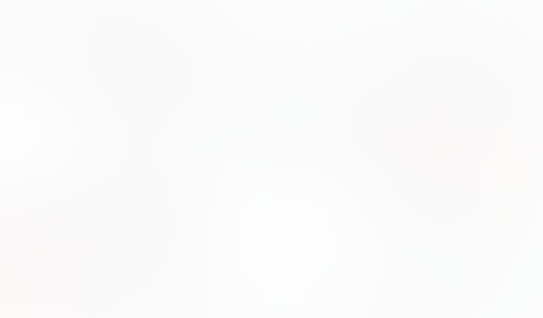 Macaw
			     ux ui design