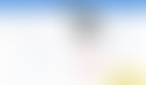 Otter
			                 ux ui design