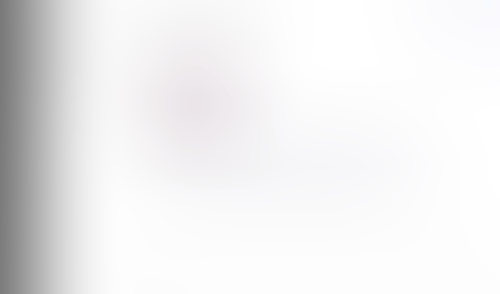 Lingo
			    ux ui design