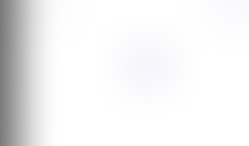 Lingo
			     ux ui design