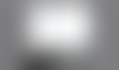 Gamma
			    ux ui design