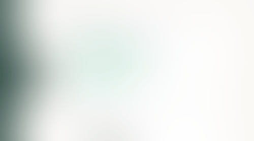 Expensify
			          ux ui design