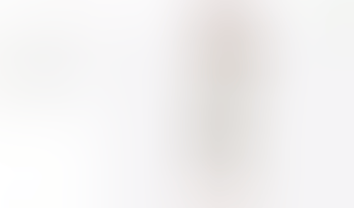 Workflow
			    ux ui design