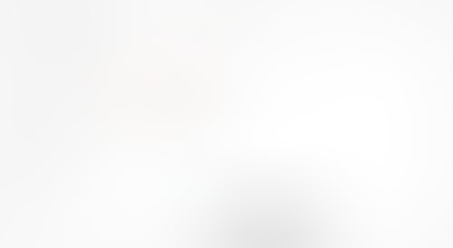 Scribe
			           ux ui design