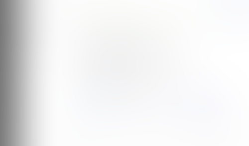 Lingo
			     ux ui design