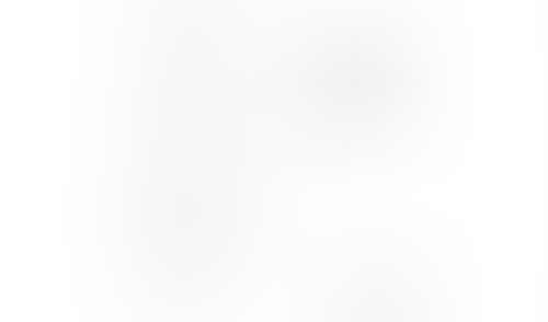 Kinsta screen example