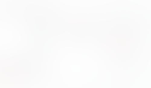 Macaw
			              ux ui design